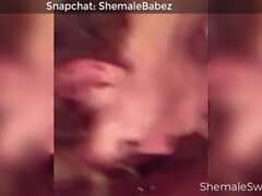 Homemade Top Shemale Compilation 11